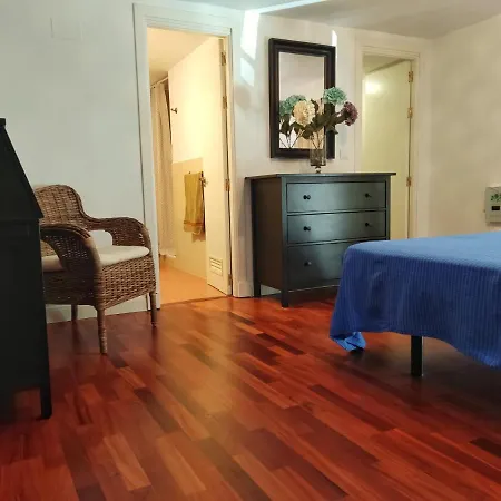 Precioso Loft En Palacio De Godoy